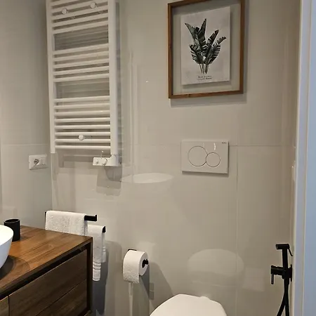 Elegant Apartment